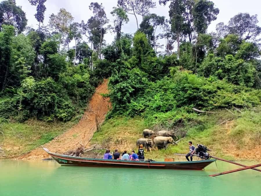 Khao Lak: Cheow Lan Lake Romantic Sunset Cruise with Drinks - The viewpoint lead-in: where you get oriented fast