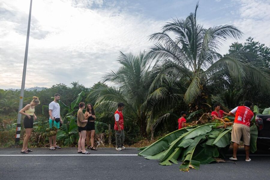 Khao Lak Eco Safari: Elephant Sanctuary Small Group Tour - What you should know before you go