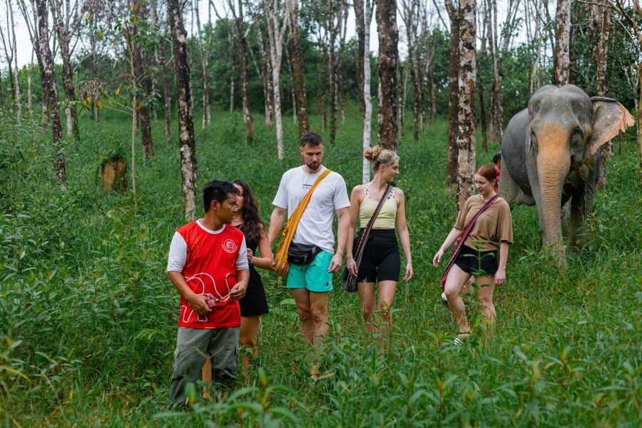 Khao Lak Eco Safari: Elephant Sanctuary Small Group Tour - Getting there smoothly: pickup, small group size, and timing