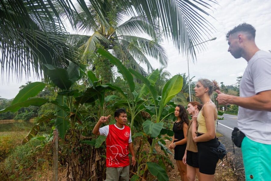 Khao Lak Eco Safari: Elephant Sanctuary Small Group Tour - Sai Rung Waterfall: a short swim stop that’s worth planning for