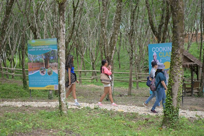 Khao Lak Eco-Safari: Elephants, Tsunami Museum, and Turtles - Ethical elephant time at Khao Lak Sanctuary