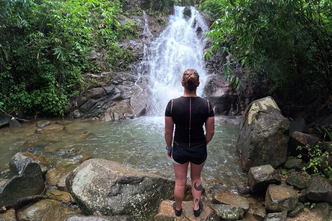 Khao Lak Eco-Safari: Elephants, Tsunami Museum, and Turtles - Punctual pickups and a small-group rhythm