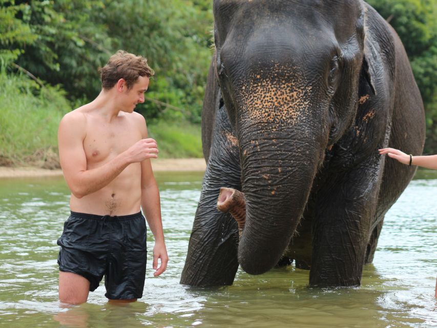 Khao Lak: Elephant Bathing and Turtle Center Visit - Why the Khao Lak Elephant + Turtle Combo Works
