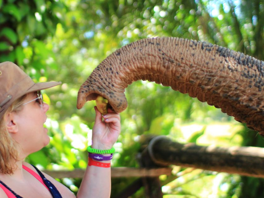 Khao Lak: Elephant Bathing and Turtle Center Visit - Quick Decision: Should You Book This Tour?
