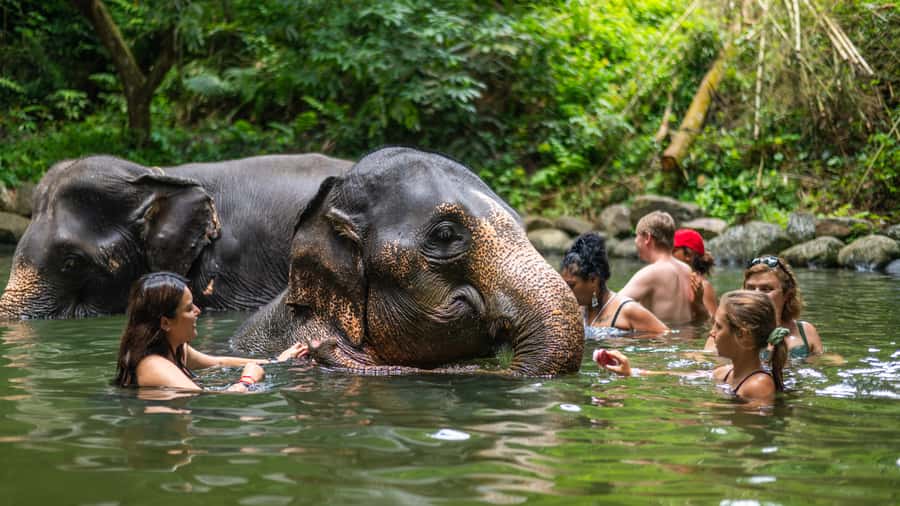 Khao Lak: Elephant Camp, Bamboo Rafting, and Waterfall Tour - Key Highlights That Make This Tour Worth a Day in Khao Lak