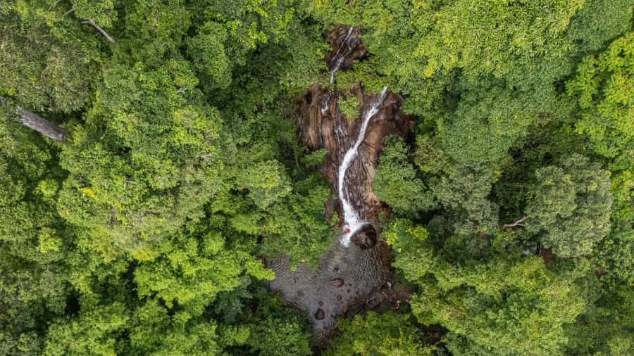 Khao Lak: Elephant Camp, Bamboo Rafting, and Waterfall Tour - What to Bring (So You Don’t Lose Time in the Restroom Line)