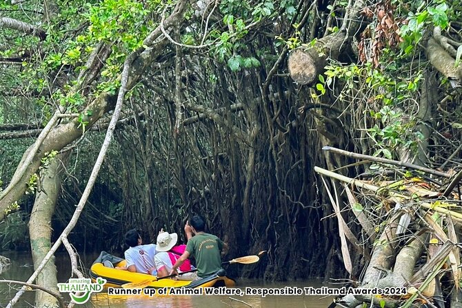 Khao Lak: Elephant Sanctuary Visit and Mangrove Kayak Tour - From Khao Lak pickup to the canoe: how the day starts