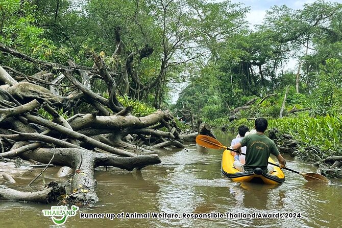 Khao Lak: Elephant Sanctuary Visit and Mangrove Kayak Tour - Elephant sanctuary time: calm, ethical, and guided
