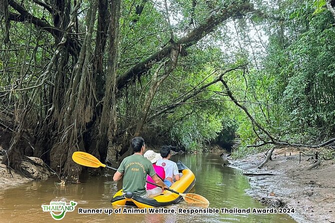 Khao Lak: Elephant Sanctuary Visit and Mangrove Kayak Tour - Itinerary walkthrough: what happens at each stop