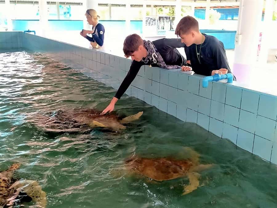 Khao Lak Ethical Adventure: Rafting, Turtles & Elephants - Should You Book Khao Lak Ethical Adventure: Rafting, Turtles & Elephants?