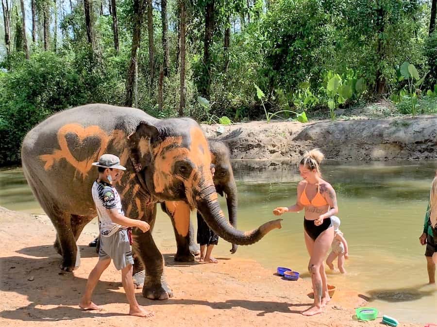 Khao Lak Ethical Adventure: Rafting, Turtles & Elephants - Wat Lak Kaen: One of Khao Lak’s Oldest Temple Stops