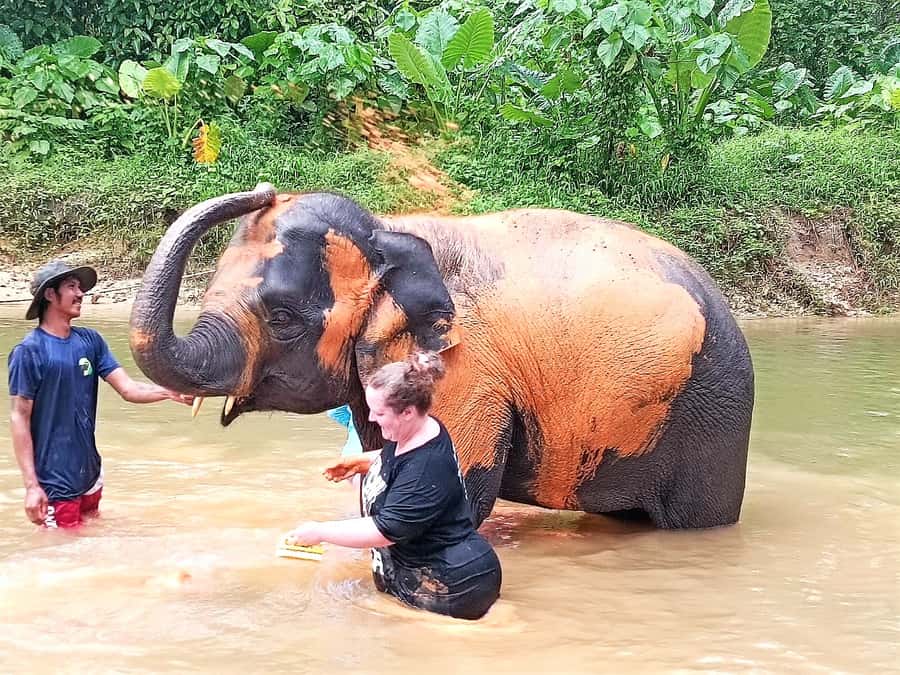 Khao Lak Ethical Adventure: Rafting, Turtles & Elephants - Police Boat 813 Tsunami Memorial: Where the History Hits Home