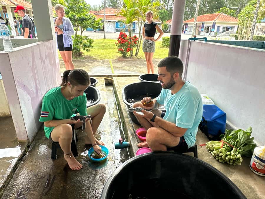 Khao Lak Ethical Adventure: Rafting, Turtles & Elephants - Time and Pace: Why This Feels Worth the Money