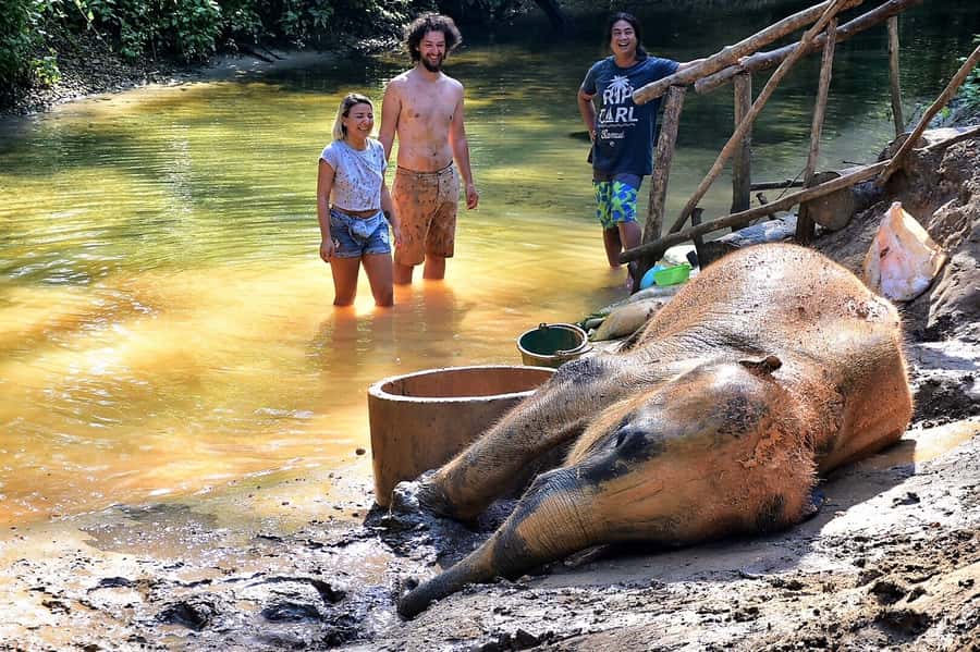 Khao Lak Ethical Adventure: Rafting, Turtles & Elephants - Bamboo Rafting to Wang Kiang Koo Waterfall: Calm Jungle Energy