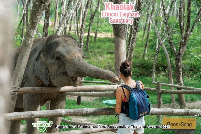 Khao Lak Ethical Elephant Sanctuary Conservation Experience - Key Things To Know Before You Go