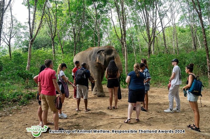 Khao Lak Ethical Elephant Sanctuary Conservation Experience - The Guide Matters: Hans, Tony, And The Rescue Stories You’ll Remember