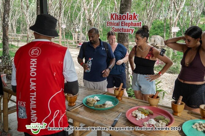 Khao Lak Ethical Elephant Sanctuary Conservation Experience - What Happens During Your Sanctuary Time (And What To Watch For)