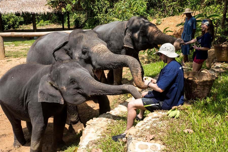 Khao Lak: Ethical Elephant Sanctuary Experience - Why Phang Nga Elephant Park Feels Ethical (and Not Showy)