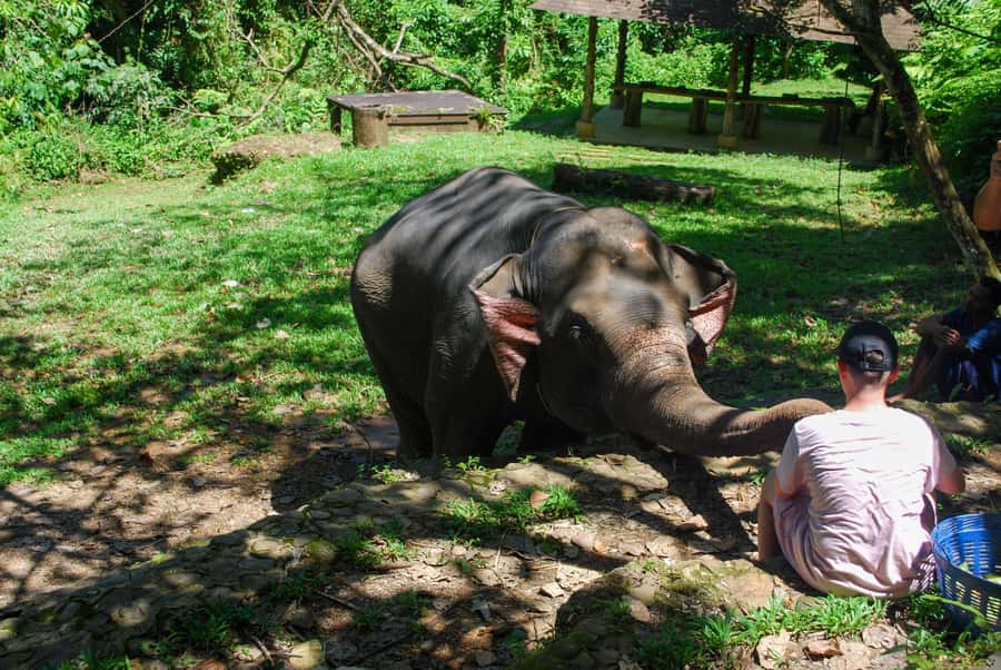 Khao Lak: Ethical Elephant Sanctuary Experience - What to Bring From Khao Lak: The Simple Packing List