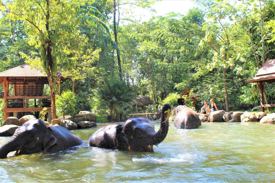 Khao Lak: Ethical Elephant Sanctuary Experience - 5 Highlights That Actually Make This Worth It