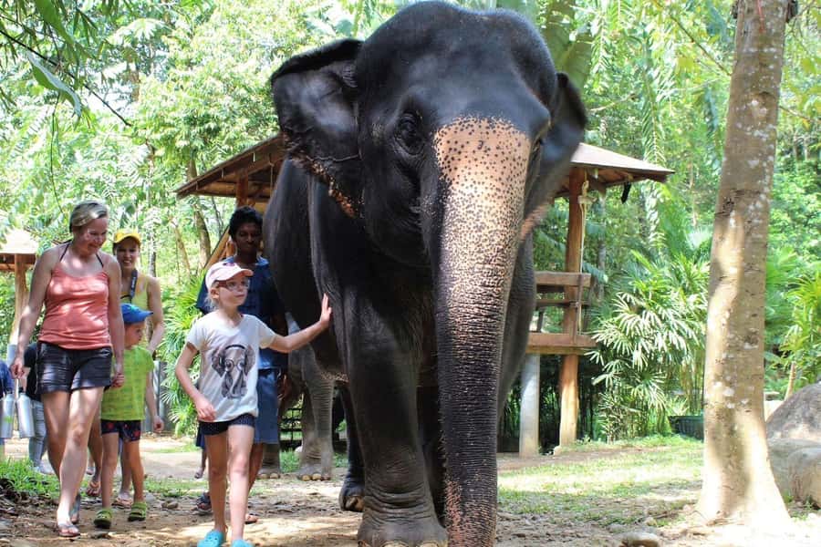 Khao Lak: Ethical Elephant Sanctuary Experience - The Pre-Elephant Routine: Welcome Drink, Caretaker Outfit, and Health Checks