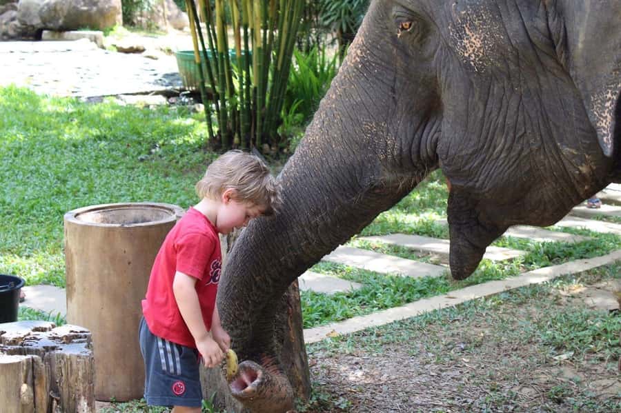 Khao Lak: Ethical Elephant Sanctuary Experience - The Rock-Pool Bath: Fun for You, Welfare for Them