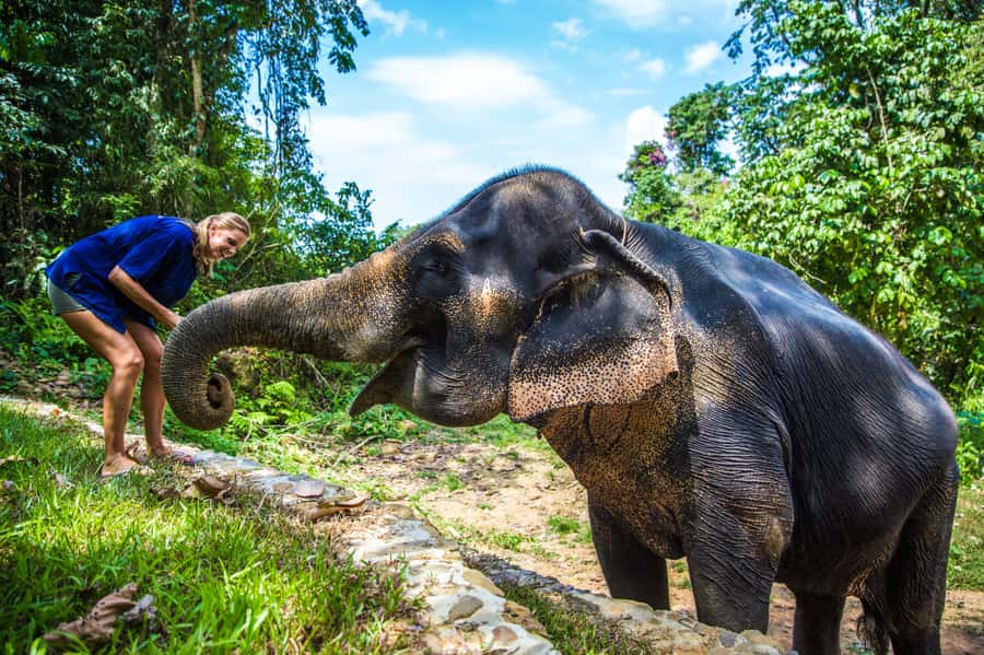 Khao Lak: Ethical Elephant Sanctuary Experience - Entering the Sanctuary: Pickup From Khao Lak and First Stops