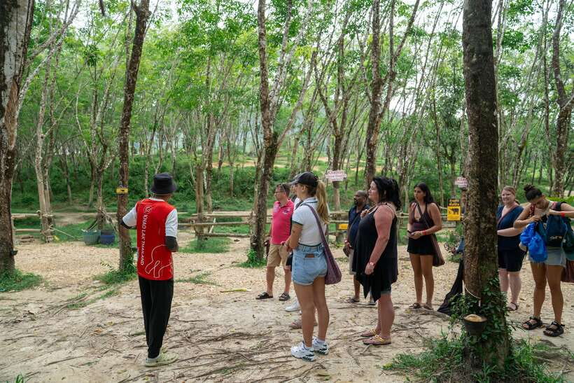 Khao Lak Guided Nature Walk & Elephant Experience - Should you book Khao Lak Guided Nature Walk & Elephant Experience?