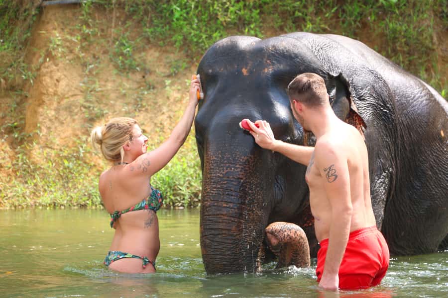 Khao Lak: Khao Sok Bamboo Rafting and Elephant Bathing Trip - What’s included (and what you should still pack)