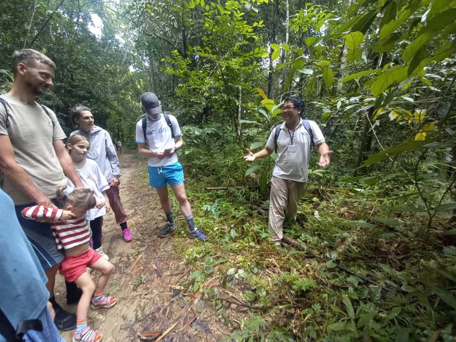 Khao Lak: Khao Sok Elephant Sanctuary and Night Jungle Walk - Elephant Feeding and Meal Prep at Thongsuk Elephant Park