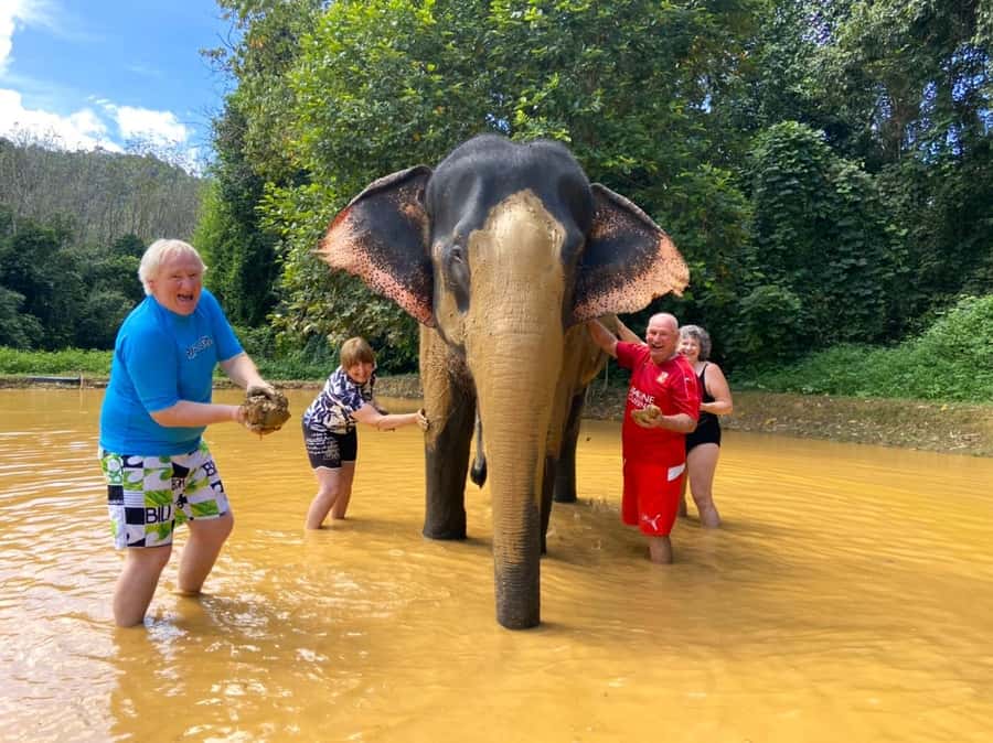 Khao Lak: Khao Sok Elephant Sanctuary and Night Jungle Walk - Should You Book This Elephant Sanctuary and Khao Sok Night Walk?