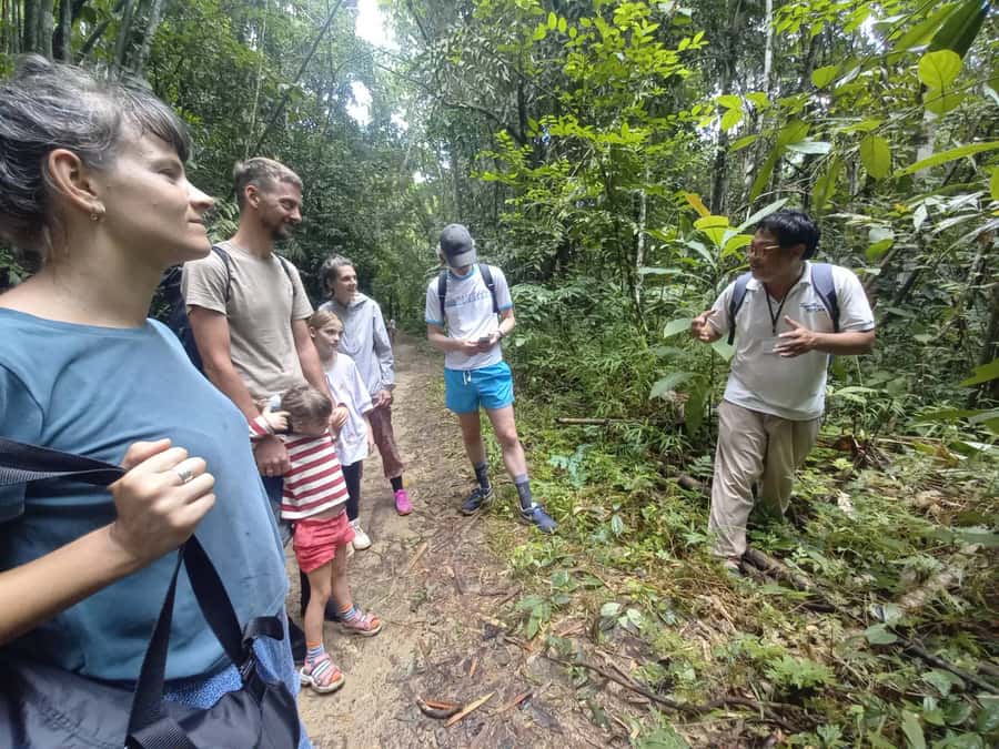 Khao Lak: Khao Sok Elephant Sanctuary and Night Jungle Walk - Mud Spa, Bathing, and Photo Time With Gentle Giants