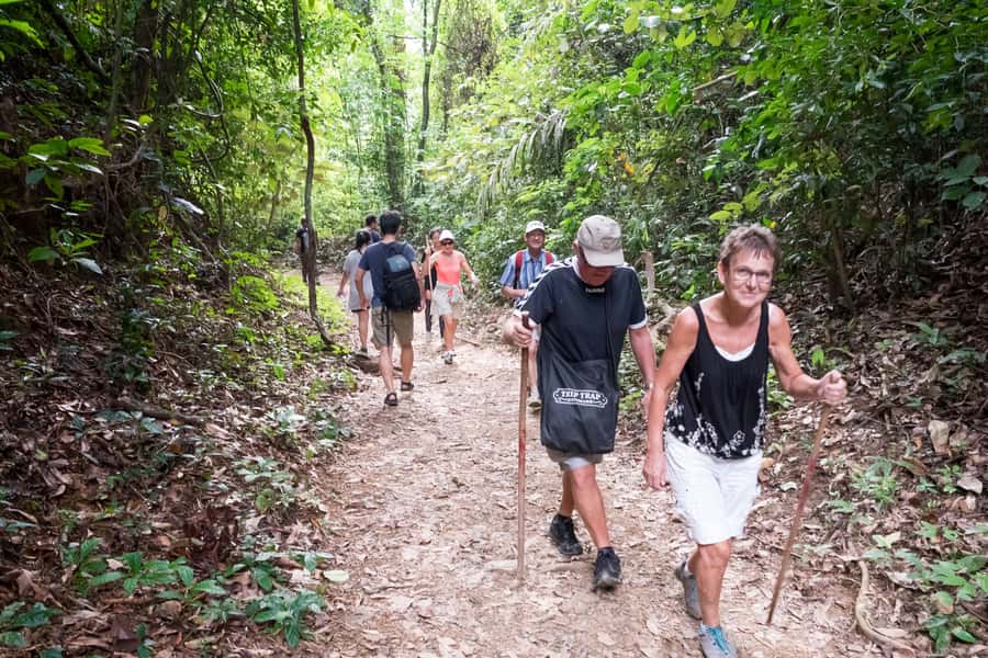 Khao Lak: Khao Sok Elephant Sanctuary and Night Jungle Walk - Khao Sok Walks: HQ Wildlife Viewing, Scenic Stops, and Trek Reality