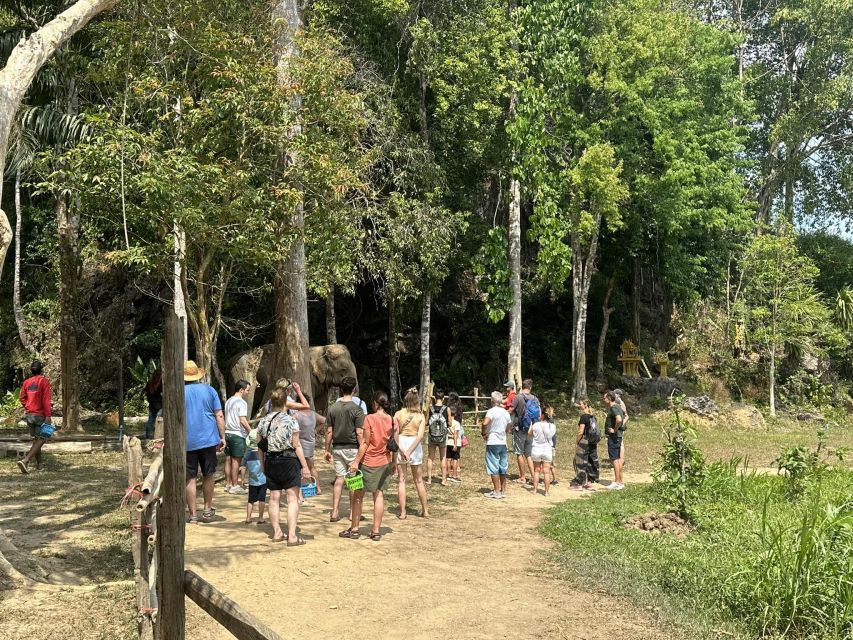 Khao Lak: Khao Sok Elephant Sanctuary and Night Jungle Walk - Khao Sok Monkey Temple and the Night Jungle Walk With Flashlights