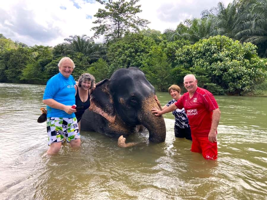 Khao Lak: Khao Sok Elephant Sanctuary and Night Jungle Walk - Thai Set Buffet Dinner After the Trek