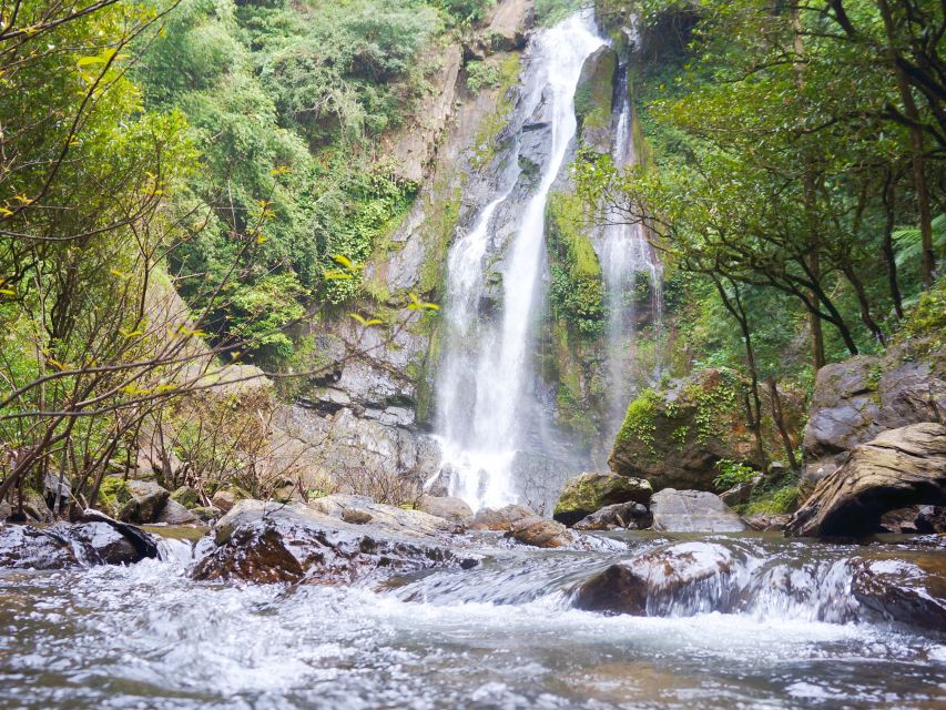 Khao Lak: Little Amazon Canoe Ride & Tam Nang Waterfall Tour - Price and Value: What You Get for About $61