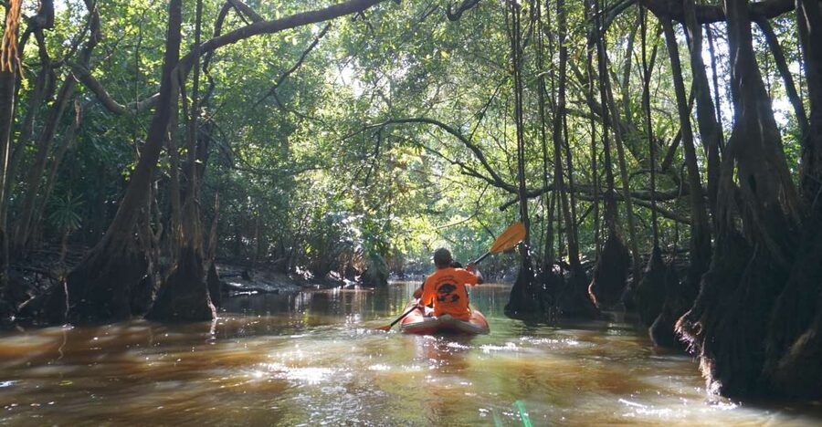 Khao Lak: Little Amazon Canoe Ride & Tam Nang Waterfall Tour - Si Phang-nga National Park and the Walk to Tam Nang Waterfall