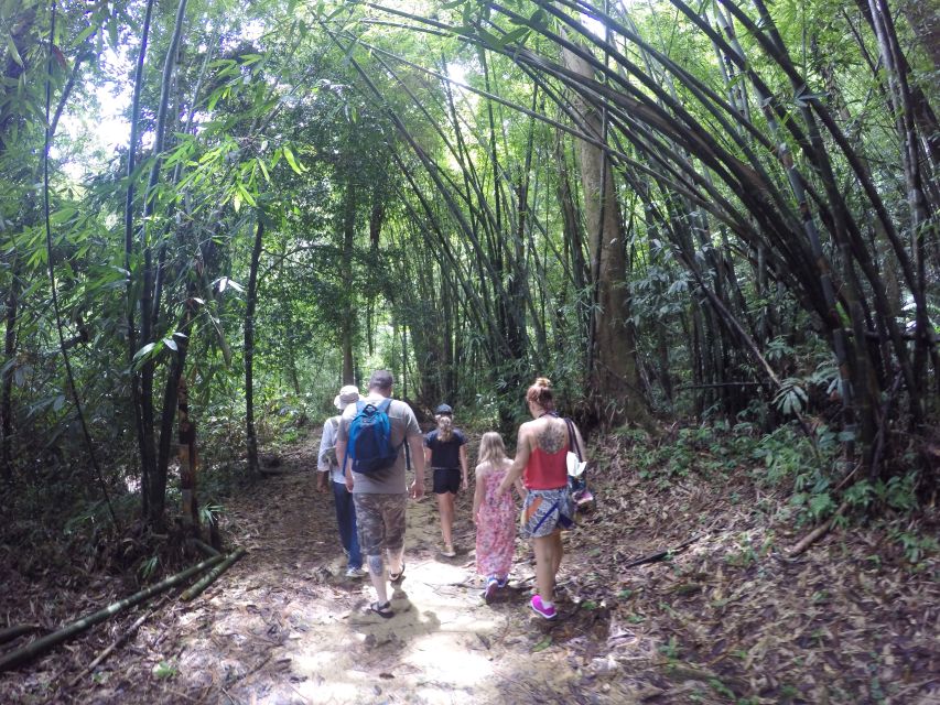 Khao Lak: Little Amazon Canoe Ride & Tam Nang Waterfall Tour - Tam Nang Waterfall Swimming: Fish, Carps, and the Reality Underfoot