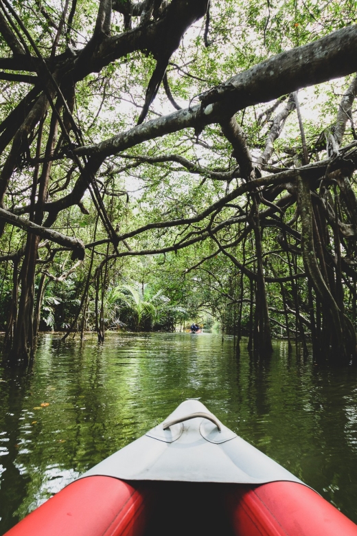Khao Lak: Little Amazon Canoe Ride & Tam Nang Waterfall Tour - Rainy Season Swap: If Si Phang-nga Closes, You’ll Go to Chong Fah