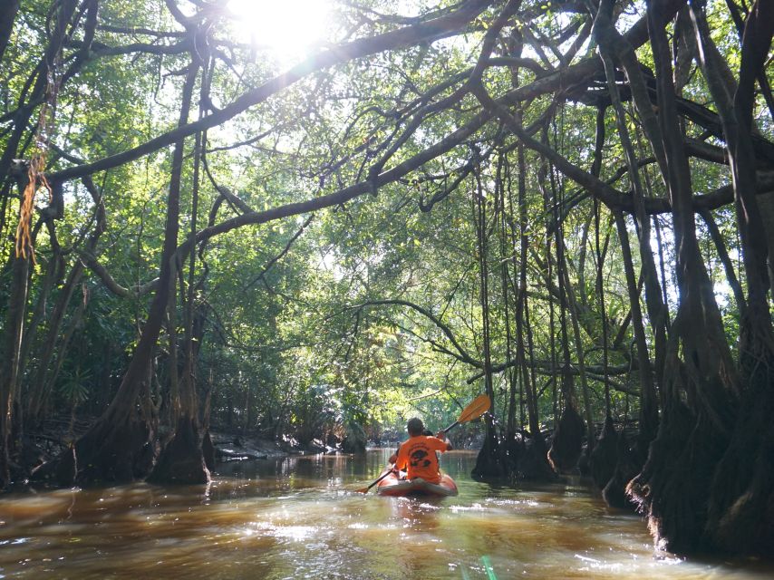 Khao Lak: Little Amazon Canoe Ride & Tam Nang Waterfall Tour - Pacing, Comfort, and Who This Half-Day Fits Best