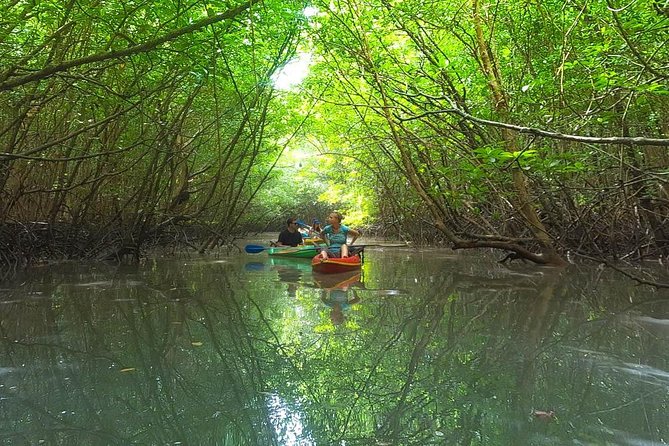 Khao Lak Mangrove Explorers - Key Reasons People Choose Khao Lak Mangrove Explorers