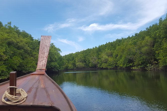 Khao Lak Mangrove Explorers - Entering the Khao Lak Mangroves Without the Crowds