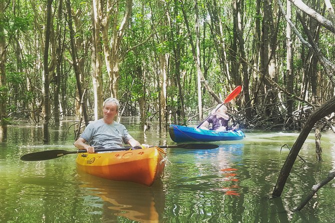 Khao Lak Mangrove Explorers - Kayaking Through Small Streams (Where the Real Magic Happens)