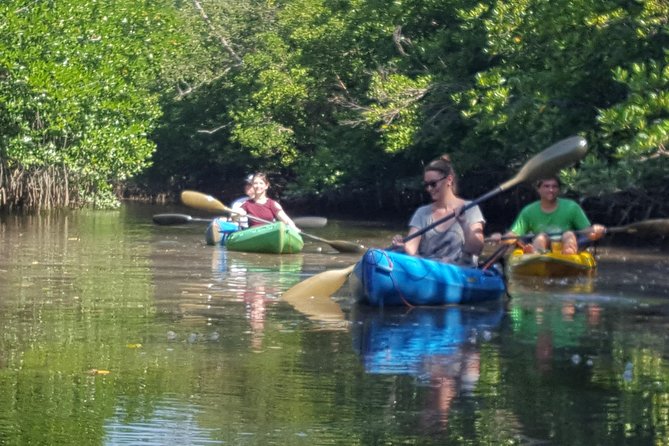 Khao Lak Mangrove Explorers - Price and Value for a 6-Person Mangrove Day