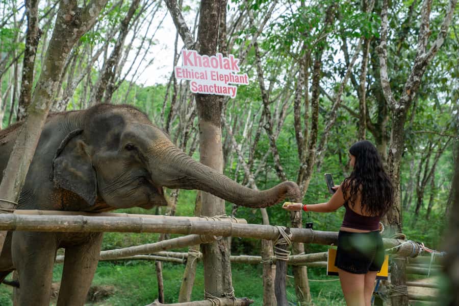 Khao Lak Multi-Adventure: Bamboo Rafting, ATV & Elephants - What to bring and how to prepare