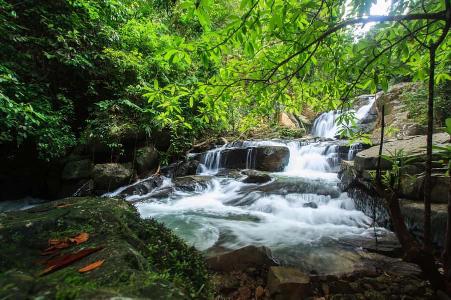 Khao Lak: Off-Road Jungle Full-Day Jeep Tour with Lunch - Why This Khao Lak Off-Road Day Feels Like a Real Jungle Trip
