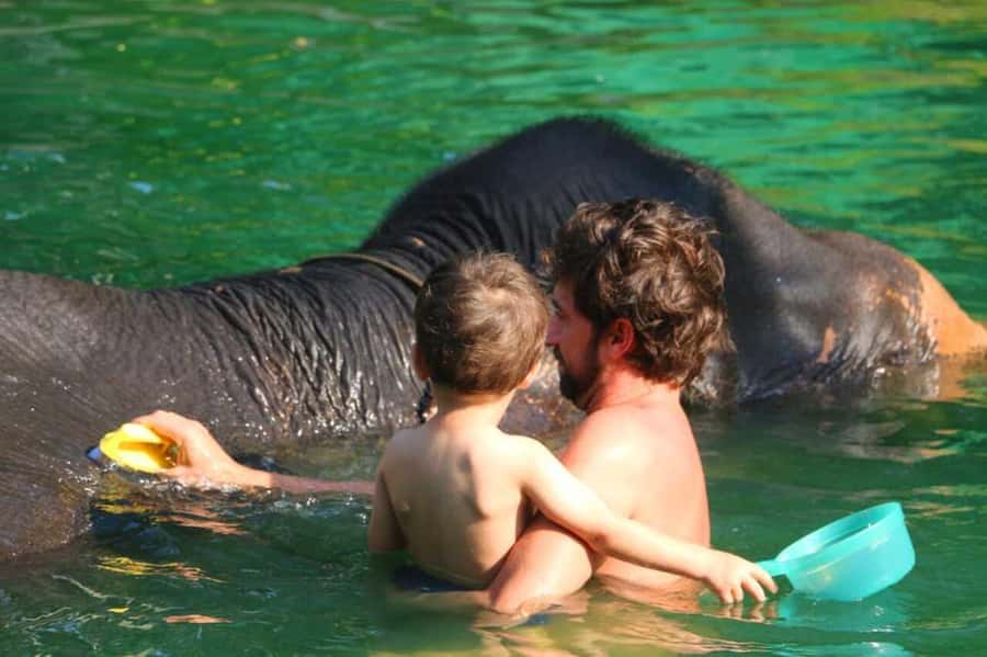 Khao Lak: Rafting, Elephant Bathing & Sea Turtle Center Tour - Quick Highlights You’ll Actually Care About