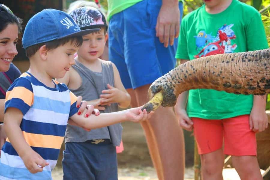 Khao Lak: Rafting, Elephant Bathing & Sea Turtle Center Tour - Bamboo Rafting Through a Quiet Rainforest River Stretch