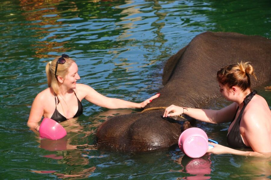 Khao Lak: Rafting, Elephant Bathing & Sea Turtle Center Tour - Thai Lunch by the River: Filling, Well-Liked, and Easy