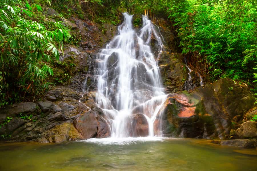 Khao Lak: Rafting, Elephant Bathing & Sea Turtle Center Tour - Price and Value: What You’re Really Paying For at $73